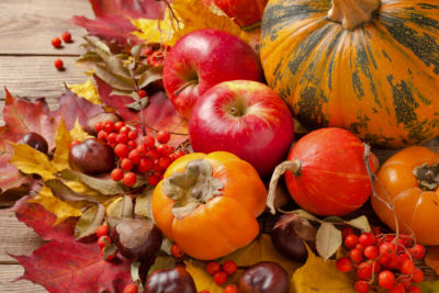 Thanksgiving Harvest Vegetables